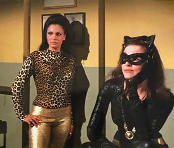 Catwoman and catgirl, store picture #2
